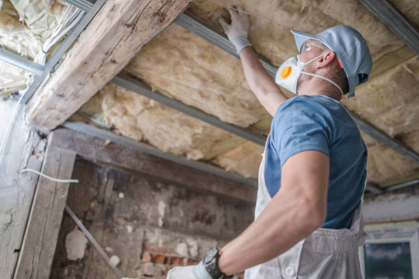 Best Insulation Maintenance and Repair in Overton, TX