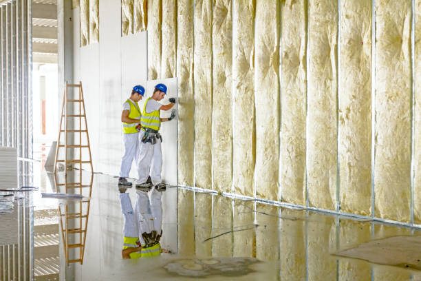 Best Insulation Installation Services in Overton, TX